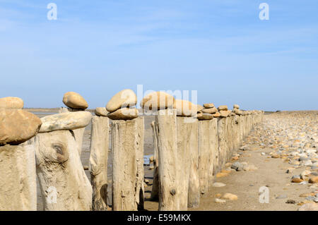 eine Landschaft auf dem Etang de Vaccares, In Camargue Stockfoto