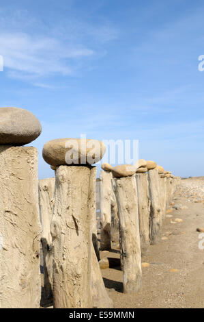 Lattenzaun, Etang de Vaccares, Camargue, Provence, Frankreich Stockfoto