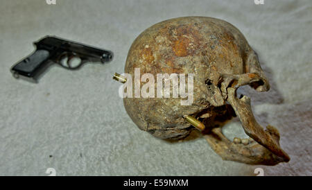 Bild von: Jules Annan Bild zeigt: Walther PPK Hand Pistole mit der Schädel bleibt eines ehemaligen Ustacha Miliz - Black Legion Offiziers, zusammengeschlagen und dann ausgeführt mit seinem eigenen PPK, zeigt der Eintrag Loch und den Weg der Kugel Datum hätte; 07.08.2014 Stockfoto