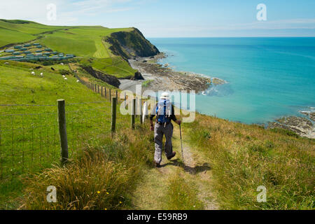 Ein männlicher Walker auf Wales Coast Path bei Borth Ceredigion Wales UK Stockfoto