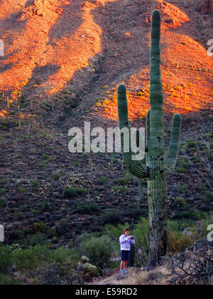 Saguaro-Kaktus am Berghang in Wüste Südwesten mit Mädchen Stockfoto