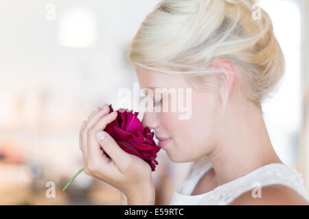 Frau duftende rose Stockfoto