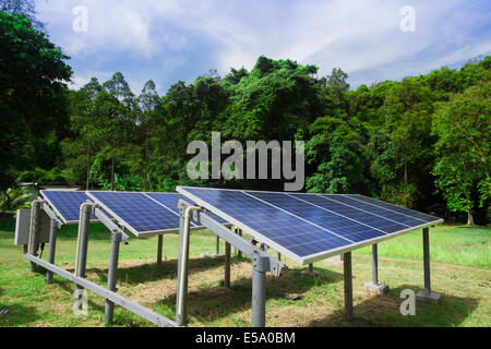 Solarzellenverkleidungen mit Bäumen und blauen Himmel Natur im freien Stockfoto