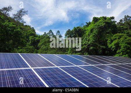 Solarzellenverkleidungen mit Bäumen und blauen Himmel Natur im freien Stockfoto