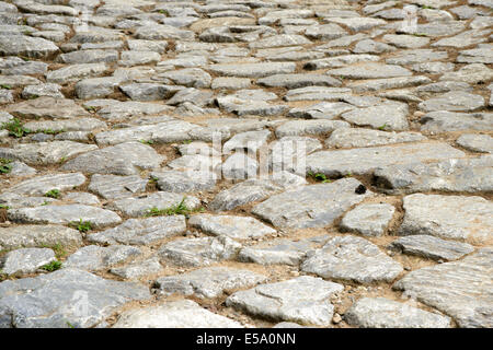 Textur der alten Pfad mit Natursteinen gepflastert Stockfoto