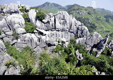 Leping, Jiangxi, CHN. 25. Sep, 2011. JIANGXI, CHINA - 22 Juli: Steinwald in Mt.Wen Leping, Jiangxi Provinz in China. Es ist eines der "Welt-Wunder der Natur '' und auch genannt Shilin. In den Steinwald, steinerne Gipfel Aufstieg abrupt aus dem Boden in zahlreichen Schichten wie Bambussprossen, Wälder und Pagoden, kommen viele Besucher einen Blick auf die einzigartigen Szenen, die von den Steinen gebildet haben. Geologen glauben, dass der Steinwald über 270 Millionen Jahre alt ist. Der Bereich verwendet, um einen Ozean zu sein. Während der langen geologischen Periode aus der Spätzeit des Perm vor 230 Millionen Jahren bis 2 Millionen Jahren Stockfoto