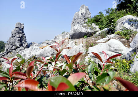 Leping, Jiangxi, CHN. 25. Sep, 2011. JIANGXI, CHINA - 22 Juli: Steinwald in Mt.Wen Leping, Jiangxi Provinz in China. Es ist eines der "Welt-Wunder der Natur '' und auch genannt Shilin. In den Steinwald, steinerne Gipfel Aufstieg abrupt aus dem Boden in zahlreichen Schichten wie Bambussprossen, Wälder und Pagoden, kommen viele Besucher einen Blick auf die einzigartigen Szenen, die von den Steinen gebildet haben. Geologen glauben, dass der Steinwald über 270 Millionen Jahre alt ist. Der Bereich verwendet, um einen Ozean zu sein. Während der langen geologischen Periode aus der Spätzeit des Perm vor 230 Millionen Jahren bis 2 Millionen Jahren Stockfoto