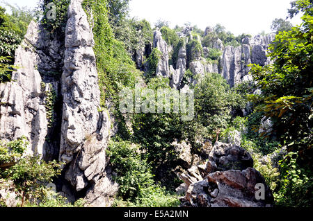 Leping, Jiangxi, CHN. 25. Sep, 2011. JIANGXI, CHINA - 22 Juli: Steinwald in Mt.Wen Leping, Jiangxi Provinz in China. Es ist eines der "Welt-Wunder der Natur '' und auch genannt Shilin. In den Steinwald, steinerne Gipfel Aufstieg abrupt aus dem Boden in zahlreichen Schichten wie Bambussprossen, Wälder und Pagoden, kommen viele Besucher einen Blick auf die einzigartigen Szenen, die von den Steinen gebildet haben. Geologen glauben, dass der Steinwald über 270 Millionen Jahre alt ist. Der Bereich verwendet, um einen Ozean zu sein. Während der langen geologischen Periode aus der Spätzeit des Perm vor 230 Millionen Jahren bis 2 Millionen Jahren Stockfoto