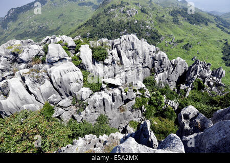 Leping, Jiangxi, CHN. 25. Sep, 2011. JIANGXI, CHINA - 22 Juli: Steinwald in Mt.Wen Leping, Jiangxi Provinz in China. Es ist eines der "Welt-Wunder der Natur '' und auch genannt Shilin. In den Steinwald, steinerne Gipfel Aufstieg abrupt aus dem Boden in zahlreichen Schichten wie Bambussprossen, Wälder und Pagoden, kommen viele Besucher einen Blick auf die einzigartigen Szenen, die von den Steinen gebildet haben. Geologen glauben, dass der Steinwald über 270 Millionen Jahre alt ist. Der Bereich verwendet, um einen Ozean zu sein. Während der langen geologischen Periode aus der Spätzeit des Perm vor 230 Millionen Jahren bis 2 Millionen Jahren Stockfoto