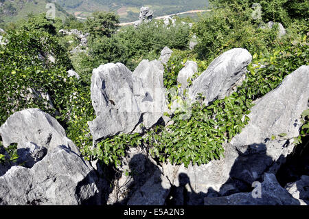 Leping, Jiangxi, CHN. 25. Sep, 2011. JIANGXI, CHINA - 22 Juli: Steinwald in Mt.Wen Leping, Jiangxi Provinz in China. Es ist eines der "Welt-Wunder der Natur '' und auch genannt Shilin. In den Steinwald, steinerne Gipfel Aufstieg abrupt aus dem Boden in zahlreichen Schichten wie Bambussprossen, Wälder und Pagoden, kommen viele Besucher einen Blick auf die einzigartigen Szenen, die von den Steinen gebildet haben. Geologen glauben, dass der Steinwald über 270 Millionen Jahre alt ist. Der Bereich verwendet, um einen Ozean zu sein. Während der langen geologischen Periode aus der Spätzeit des Perm vor 230 Millionen Jahren bis 2 Millionen Jahren Stockfoto