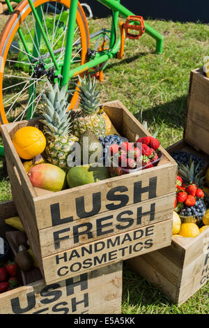 Kisten mit üppigen handgemachte Kosmetik auf dem Display an outdoor-Event Bakewell Derbyshire England Stockfoto