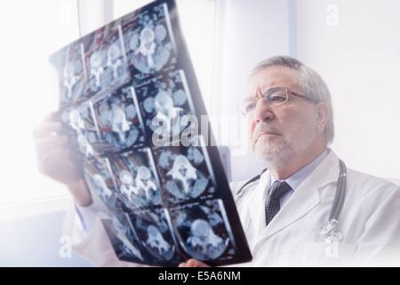 Hispanische Arzt lesen Röntgenaufnahmen im Krankenhaus Stockfoto