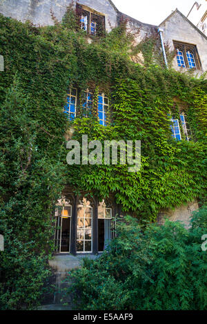 Wände der Wohnblock mit Efeu, Balliol College, Oxford, England, UK Stockfoto