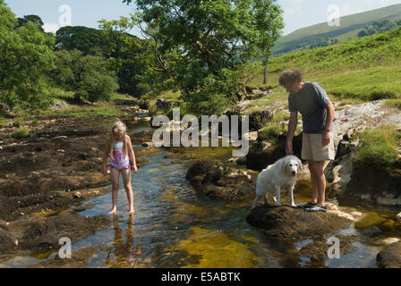 River Wharfe nördlich von Hubberholm. Yorkshire Dales National Park. Wharfedale. Langstrothdale Valley North Yorkshire. England Großbritannien 2010er 2014 HOMER SYKES Stockfoto