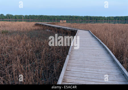 Marsh und der Promenade entlang in Minnesota Minnesota River Valley National Wildlife Refuge von Bloomington Minnesota Stockfoto