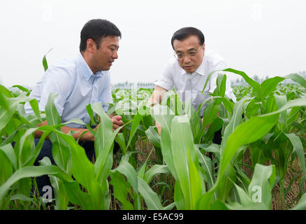 Peking, China Shandong Provinz. 24. Juli 2014. Chinese Premier Li Keqiang (R) besucht Deqiang Farm in Lingxian County von Dezhou, Ost-China Shandong Provinz, 24. Juli 2014. Li hatte eine Inspektionsreise in Shandong vom 24. Juli bis 25. © Huang Jingwen/Xinhua/Alamy Live-Nachrichten Stockfoto