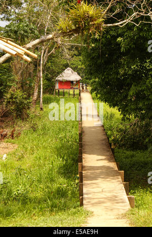 Peru, peruanische Amazonas-Landschaft. Die Foto heutige typische Indianerstämme Siedlung in Amazon Stockfoto