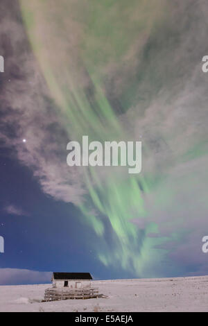 nordlichter (aurora borealis) erscheinen als grüne Flamme durch Wolken über einem ländlichen Schuppen in einer schneebedeckten Landschaft in der Nähe von Calgary, Alberta, Kanada Stockfoto