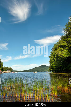 Oxbow Lake in den Adirondack Mountain State Park im Sommer Stockfoto