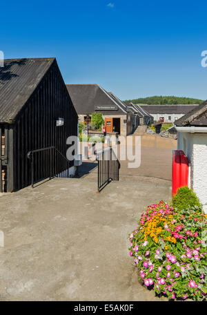 GLENFIDDICH WHISKY BRENNEREI DUFFTOWN SCHOTTLAND SHOP GEHWEGE UND BLUMEN Stockfoto