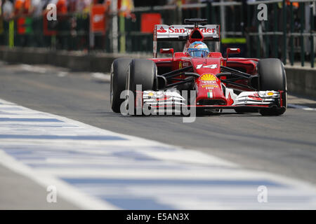 Budapest, Ungarn. 25. Juli 2014. FERNANDO ALONSO Spanien Team Scuderia Ferrari fährt während der zweiten freien Training auf dem Hungaroring. © James Gasperotti/ZUMA Draht/Alamy Live-Nachrichten Stockfoto