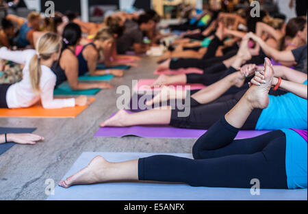Gesamtansicht einer großen Yoga-Klasse in Aktion. Stockfoto