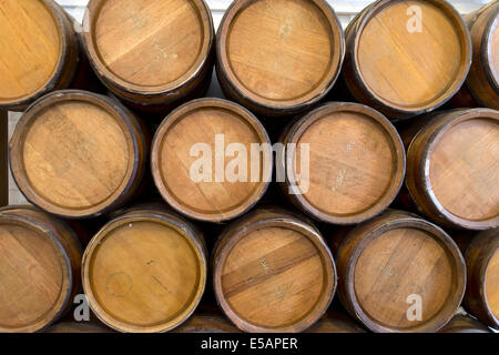 Schießpulver-Fässern gelagert in das Schießpulver Magazin, Tilbury Fort, Essex, England, UK. Stockfoto