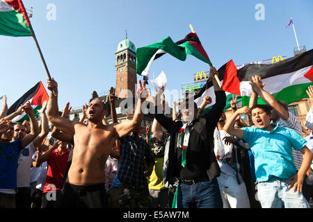 Kopenhagen, Dänemark-Freitag, 25. Juli 2014: Einige 2000 Menschen versammeln sich an der Copenhagen Rathaus Platz am Freitag Nachmittag protestieren gegen aktuelle Angriff Israels auf Gaza. Die Demonstration wurde von der Dänisch-palästinensische Freundschaftsgesellschaft organisiert. Bildnachweis: OJPHOTOS/Alamy Live-Nachrichten Stockfoto