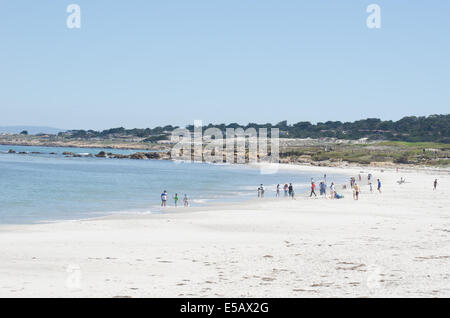 Strand am 17-Mile Drive, Pebble Beach, Monterey Peninsula Kalifornien Stockfoto