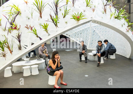 Melbourne Australien, Southbank, St. Kilda Road, National Gallery of Victoria, Kunst, Museum, Kuppel, AU140320093 Stockfoto