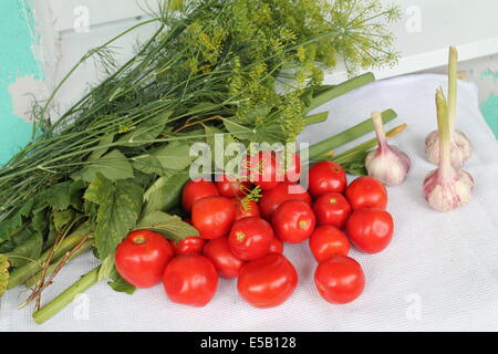 appetitlich bunten Vitamin frisches Gemüse Tomaten, Knoblauch und Garten Aroma Grünfläche legen auf Tisch Stockfoto