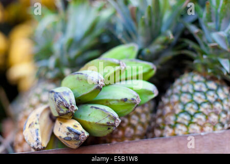 Bananen und Ananas auf asiatischen Markt Stockfoto