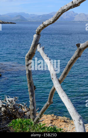 Holz Geländer von Pollensa Bucht, Mittelmeer, Mallorca, Balearen, Spanien. Stockfoto