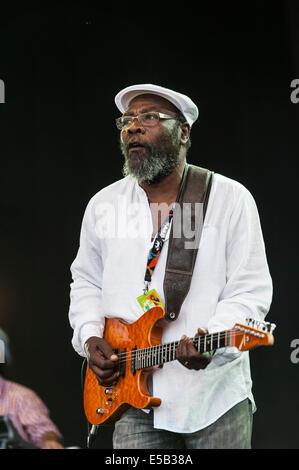 Charlton Park, UK. 25. Juli 2014. Clinton Fearon, jamaikanischer Reggae-Titan, funktioniert auf der Open-Air-Bühne beim WOMAD Festival zu einer schwülen mittags Masse. Fearon, ursprüngliche Bassist des Roots-Reggae Schwergewichte die Gladiatoren, werden Leistungen über das Wochenende machen. Bildnachweis: Francesca Moore/Alamy Live-Nachrichten Stockfoto