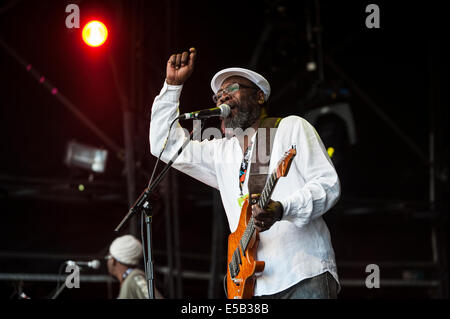 Charlton Park, UK. 25. Juli 2014. Clinton Fearon, jamaikanischer Reggae-Titan, funktioniert auf der Open-Air-Bühne beim WOMAD Festival zu einer schwülen mittags Masse. Fearon, ursprüngliche Bassist des Roots-Reggae Schwergewichte die Gladiatoren, werden Leistungen über das Wochenende machen. Bildnachweis: Francesca Moore/Alamy Live-Nachrichten Stockfoto
