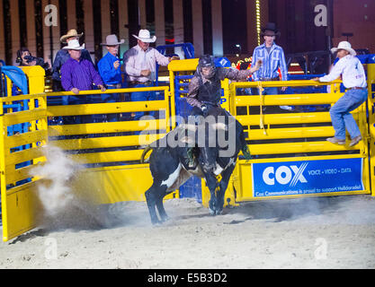 Cowboy-Teilnahme an einem Bullenreiten Wettbewerb bei den Helldorado Days Rodeo Stockfoto