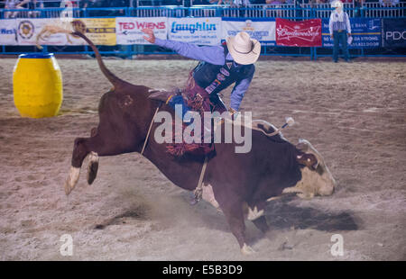 Cowboy-Teilnahme an einem Bullenreiten Wettbewerb bei den Helldorado Days Rodeo Stockfoto