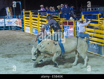 Cowboy-Teilnahme an einem Bullenreiten Wettbewerb bei den Helldorado Days Rodeo Stockfoto