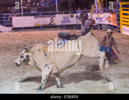 Cowboy-Teilnahme an einem Bullenreiten Wettbewerb bei den Helldorado Days Rodeo Stockfoto