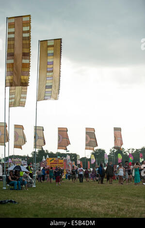 Musikfestival WOMAD, Charlton Park, UK. 25. Juli 2014. Lodernde Hitze und Feuchtigkeit auf den ersten Tag des Festivals gipfelt in einem Flash-Terrential-Downpoor am späten Nachmittag. Es nicht die Festivalbesucher abgeschreckt und kann von ihnen nur benötigt, um Abdeckung für eine kurze Zeit zu suchen, bevor die Sonne wieder schien. Mehr heißes Wetter wird am Wochenende erwartet. Stockfoto