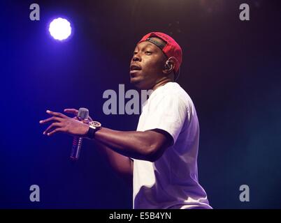 Dundrennan, Dumfries, Scotland, UK. 25. Juli 2014. Dizzee Rascal führt auf der Bühne am Weidenmanns Festival in Dundrennan am 25. Juli 2014 in Dumfries, Großbritannien. Bildnachweis: Sam Kovak/Alamy Live-Nachrichten Stockfoto