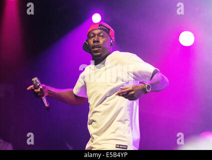 Dundrennan, Dumfries, Scotland, UK. 25. Juli 2014. Dizzee Rascal führt auf der Bühne am Weidenmanns Festival in Dundrennan am 25. Juli 2014 in Dumfries, Großbritannien. Bildnachweis: Sam Kovak/Alamy Live-Nachrichten Stockfoto