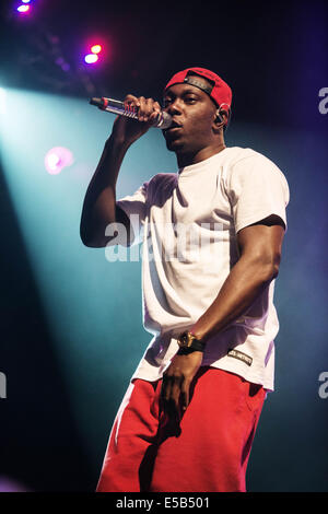 Dundrennan, Dumfries, Scotland, UK. 25. Juli 2014. Dizzee Rascal führt auf der Bühne am Weidenmanns Festival in Dundrennan am 25. Juli 2014 in Dumfries, Großbritannien. Bildnachweis: Sam Kovak/Alamy Live-Nachrichten Stockfoto