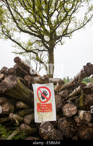 Warnzeichen gegen Klettern, fixiert auf einen Stapel von Protokollen in einem Waldgebiet löschen. Stockfoto