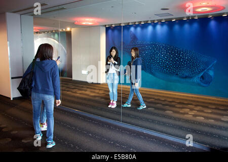 Menschen, Touristen, Besucher nehmen Selfie, Selbstbildnis im Spiegel, Aquarium in Osaka, Japan, Asien. Walhai-Bild auf Wandposter Stockfoto