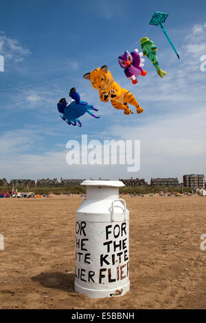 Lytham St Annes, Blackpool, 26. Juli 2014. Kollektion Urne an der St. Annes kite Festival.  Den Himmel über St. Annes Seafront wurden überflutet mit Farbe als fabelhafte Anzeige Drachen in der Luft am Strand neben dem Pier nahm.  Das Festival vorgestellten einzeiligen Drachen in allen Formen und Größen, einschließlich Kühe, Manta-Rochen, einen riesigen Teddybären, Hunde und sogar Flusspferde zusammen mit 2-Leiner und 4-Leiner Lenkdrachen fliegen.   Bildnachweis: Mar Photographics/Alamy Live-Nachrichten. Stockfoto