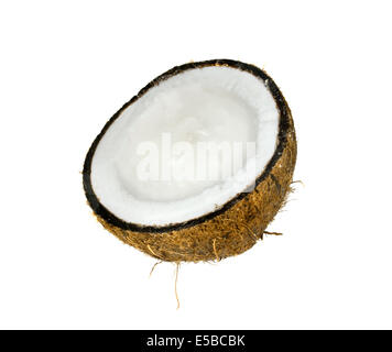 Kokosnuss Hälfte für Gartenvögel Tabelle Stockfoto