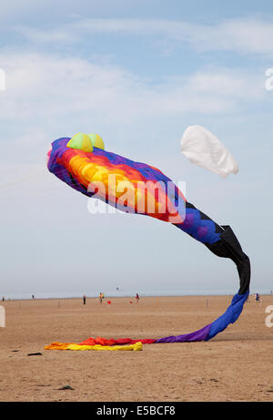 Lytham St Annes, Blackpool, 26. Juli 2014. St. Annes kite Festival.  Den Himmel über St. Annes Seafront wurden überflutet mit Farbe als fabelhafte Anzeige Drachen in der Luft am Strand neben dem Pier nahm.  Das Festival vorgestellten einzeiligen Drachen in allen Formen und Größen, einschließlich Kühe, Manta-Rochen, einen riesigen Teddybären, Hunde und sogar Flusspferde zusammen mit 2-Leiner und 4-Leiner Lenkdrachen fliegen.   Bildnachweis: Mar Photographics/Alamy Live-Nachrichten. Stockfoto