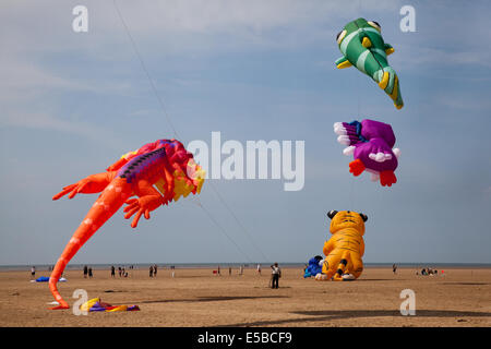 Lytham St Annes, Blackpool, 26. Juli 2014. St. Annes kite Festival.  Den Himmel über St. Annes Seafront wurden überflutet mit Farbe als fabelhafte Anzeige Drachen in der Luft am Strand neben dem Pier nahm.  Das Festival vorgestellten einzeiligen Drachen in allen Formen und Größen, einschließlich Kühe, Manta-Rochen, einen riesigen Teddybären, Hunde und sogar Flusspferde zusammen mit 2-Leiner und 4-Leiner Lenkdrachen fliegen.   Bildnachweis: Mar Photographics/Alamy Live-Nachrichten. Stockfoto