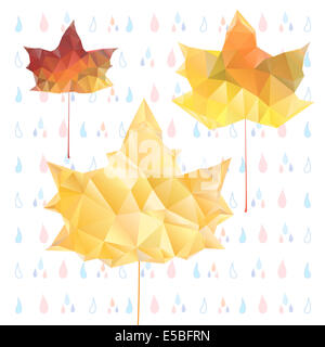 bunte Ahornblätter auf einem hellen Hintergrund mit Regen Stockfoto